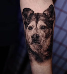 Best Dog Portrait Artist, Award Winning Tattoo Artist, Dog Portrait, Dog Portrait Tattoo, Cesar Perez, Kota, Black and Grey Realism, Husky Tattoo