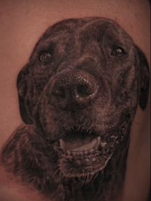 Black and Grey Realism Pet Portrait