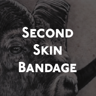 second skin, bandage, aftercare, tattoos, best aftercare, cesar perez, new england artists