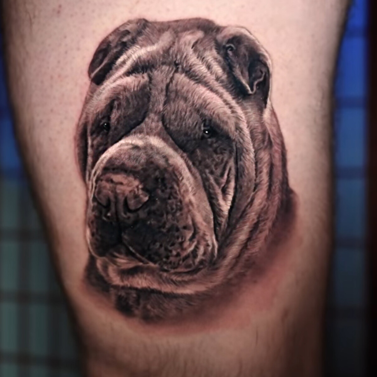 Dog Portrait, Dog Portrait Tattoo, Cesar Perez, Black and Grey Realism, Pet Portrait Tattoo, Keene, New Hampshire