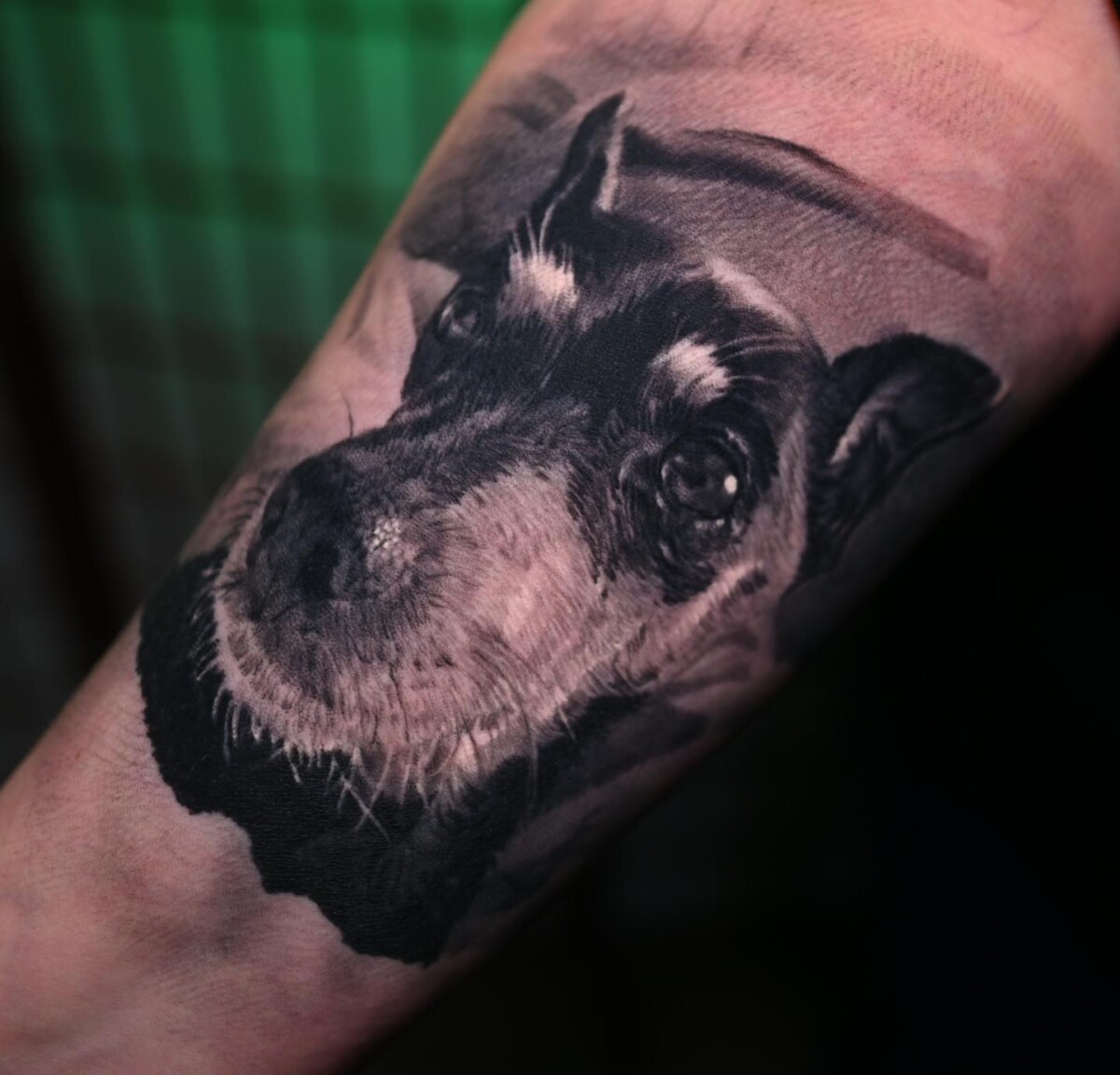 tattoo portfolio, realism, realistic, dog, portrait, cesar perez