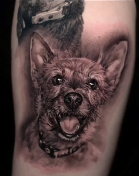 Dog Portrait, Dog Portrait Tattoo, Cesar Perez, Black and Grey Realism, Pet Portrait Tattoo, Keene, New Hampshire, pet