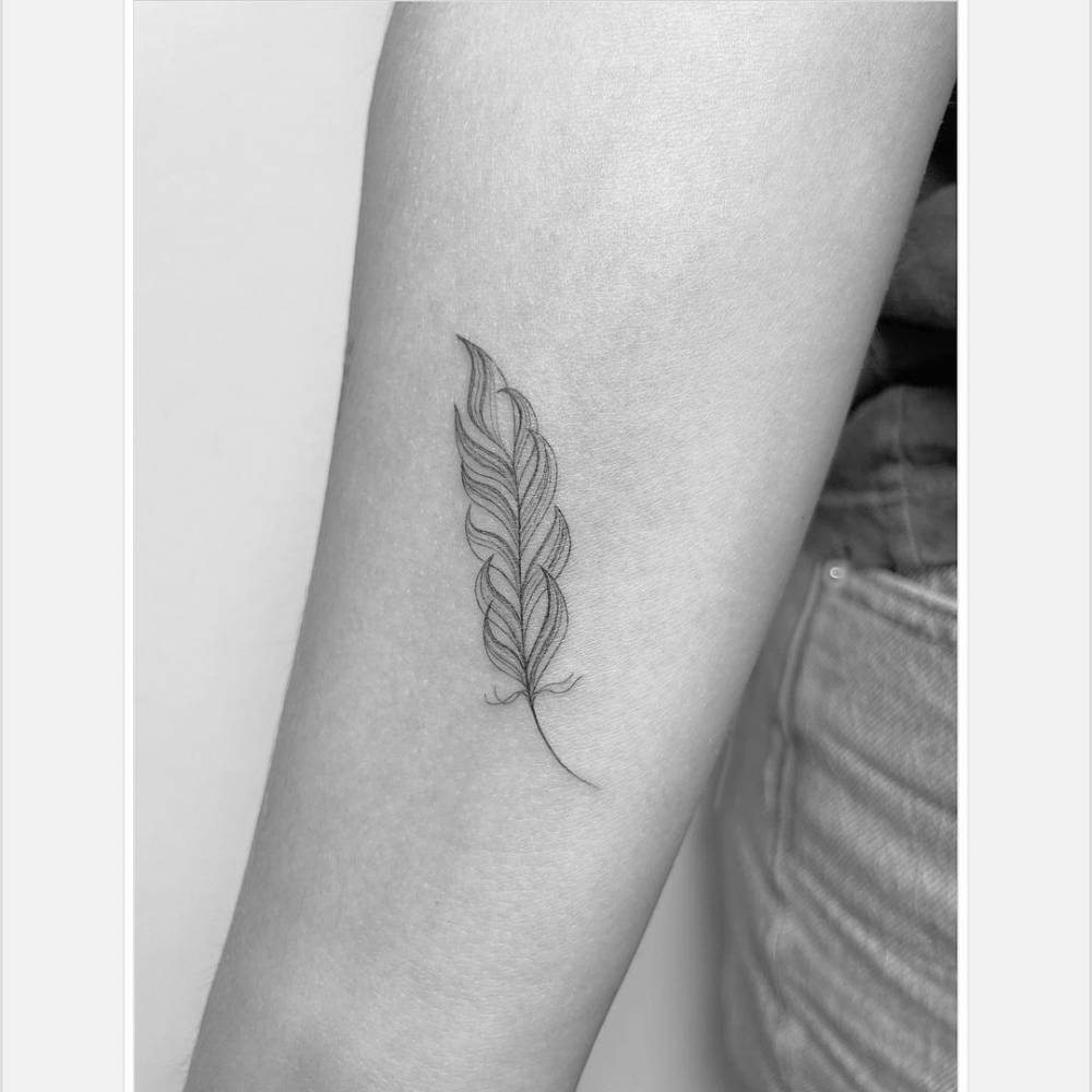 fine line feather